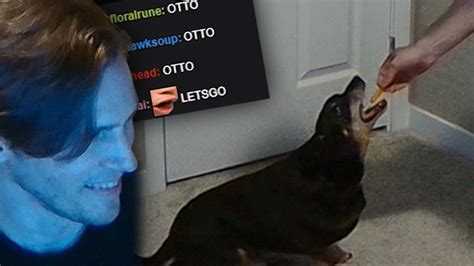 This "alter" ego turns real in every moment, that depicts Jerma's size or height on stream. . Jerma otto